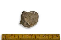 F 00190
<br/>
<br/>
<em></em>